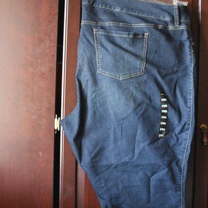 Torrid Jegging Skinny Jean 28R